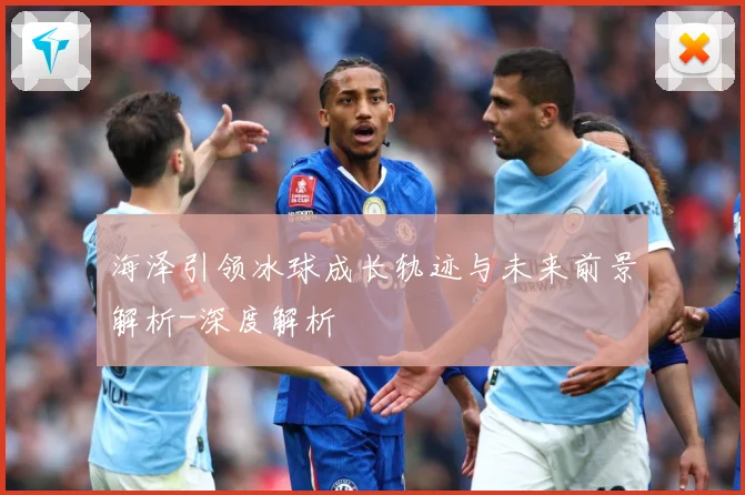 海泽引领冰球成长轨迹与未来前景解析-深度解析