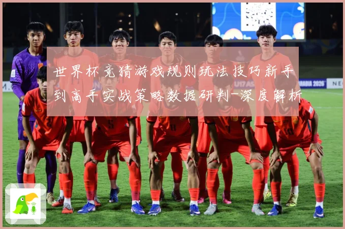 世界杯竞猜游戏规则玩法技巧新手到高手实战策略数据研判-深度解析