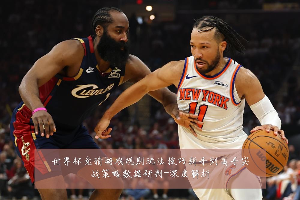 世界杯竞猜游戏规则玩法技巧新手到高手实战策略数据研判-深度解析